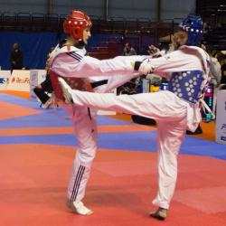 2017-usmg-taekwondo-axel-5