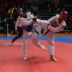 2017-usmg-taekwondo-axel-9