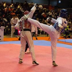 2017-usmg-taekwondo-brandon-5