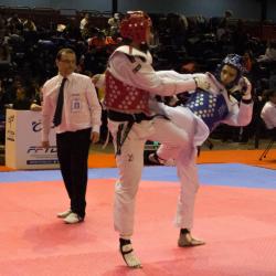 2017-usmg-taekwondo-brandon-7