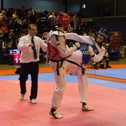 2017-usmg-taekwondo-brandon-9
