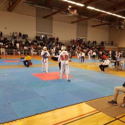 usmg-tkd-2017-IDF-01