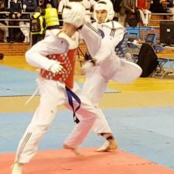 usmg-tkd-2017-IDF-01b