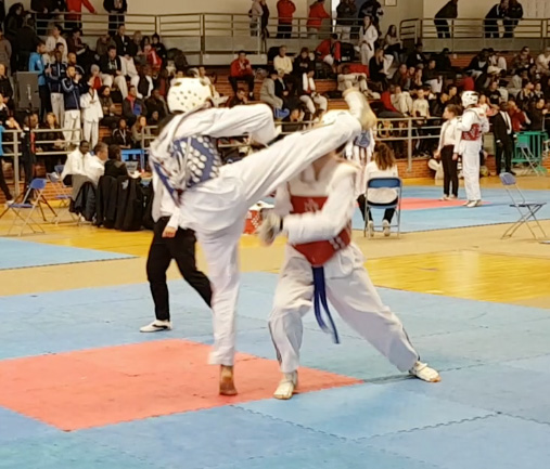 usmg-tkd-2017-IDF-01c