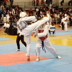 usmg-tkd-2017-IDF-01c