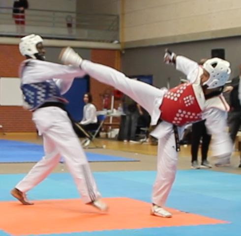 usmg-tkd-2017-IDF-04a