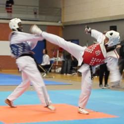 usmg-tkd-2017-IDF-04a