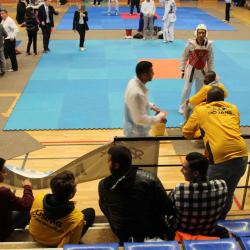 usmg-tkd-2017-IDF-06