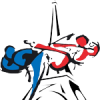 Logo idf tkd