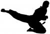 Saut noir trans